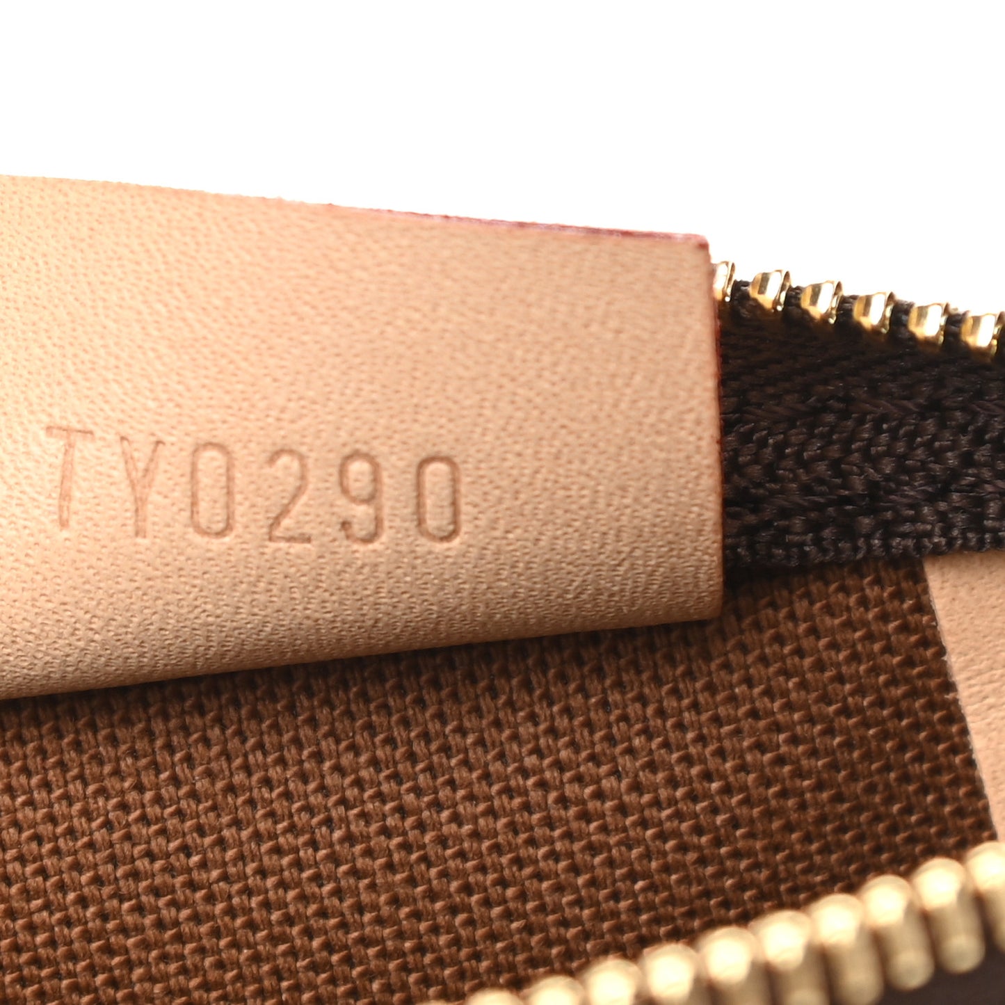 Monogram Nano Speedy