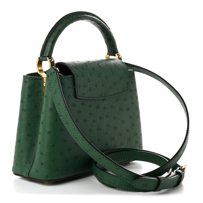 Louis Vuitton Ostrich Capucines Mini Mint 3 of 10