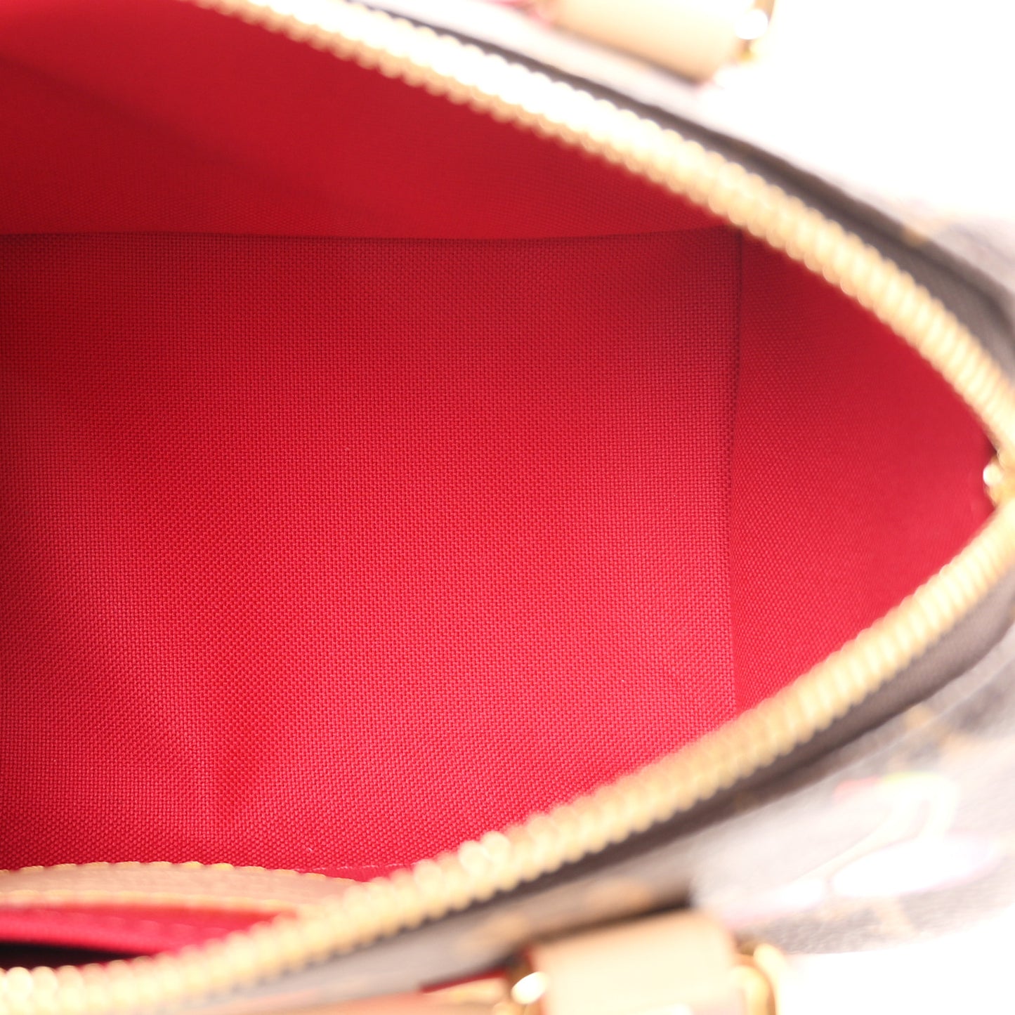 LV X TM Monogram Cerises Speedy Bandouliere 20