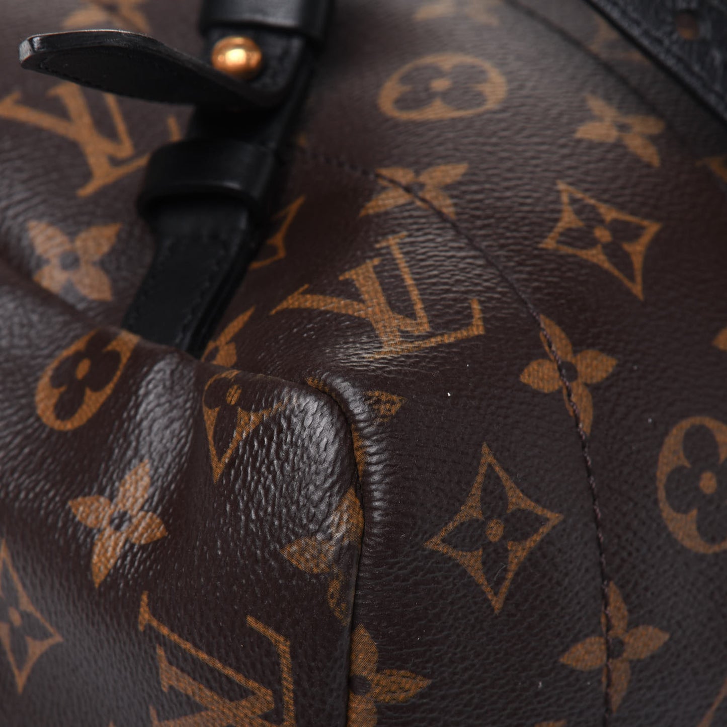 Monogram Palm Springs Backpack MM