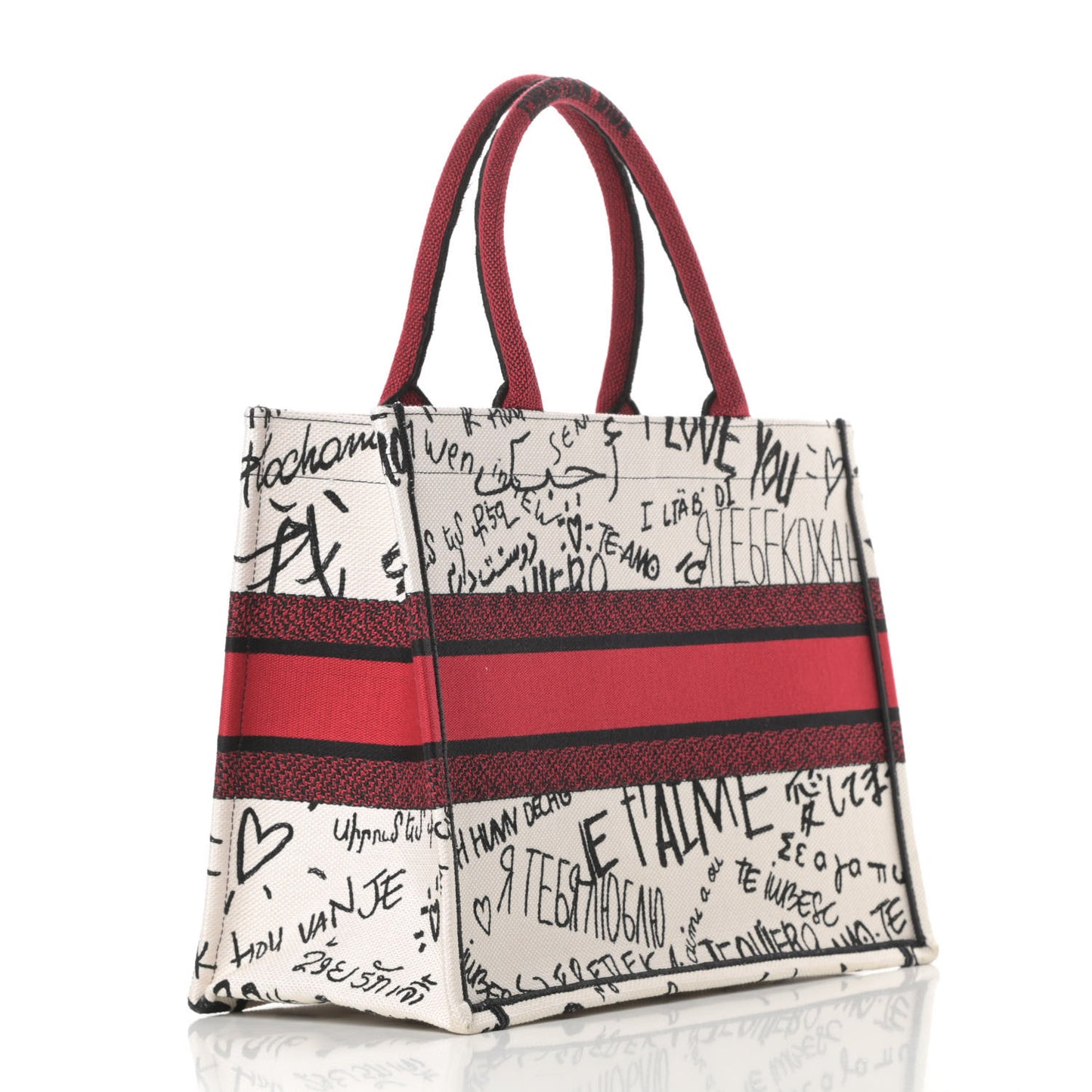Canvas Embroidered Medium Dioramour Graffiti Book Tote Latte Multicolor
