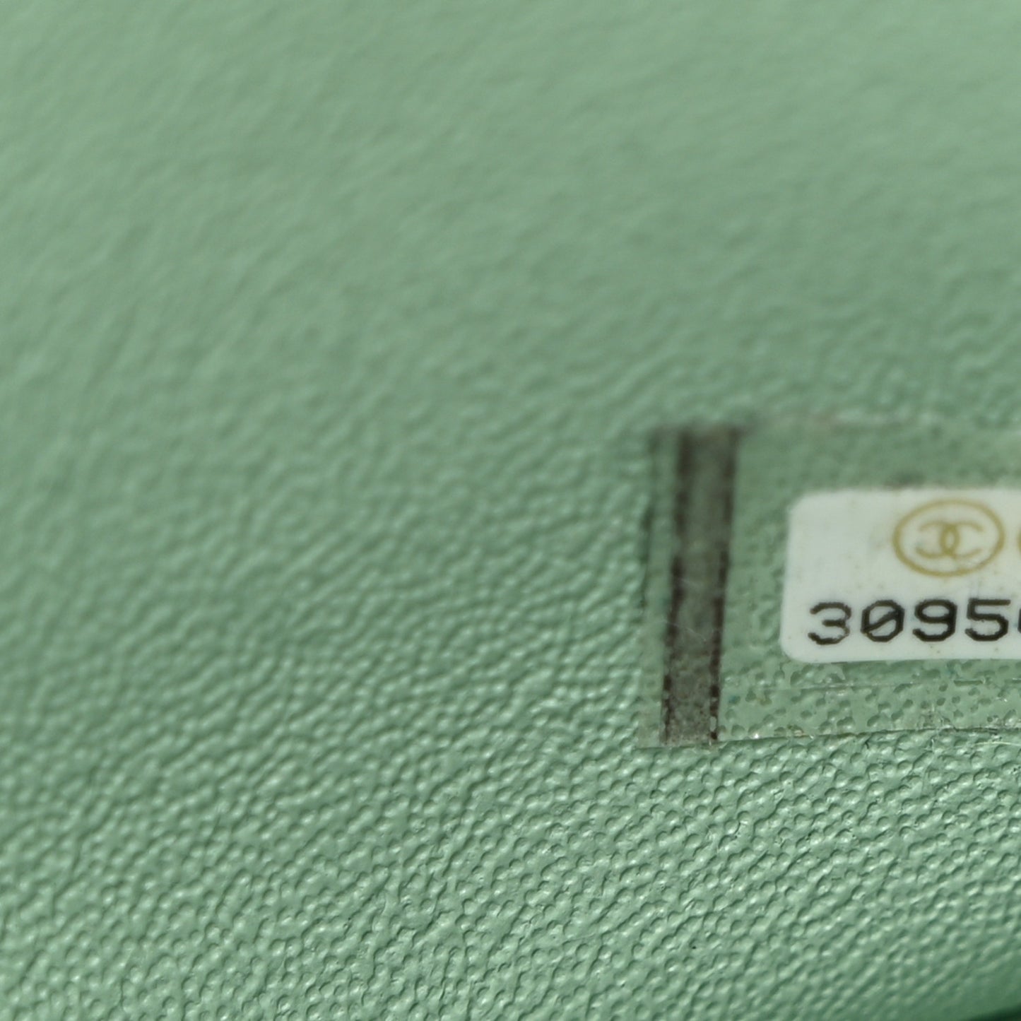 Lambskin Quilted Mini Rectangular Flap Light Green
