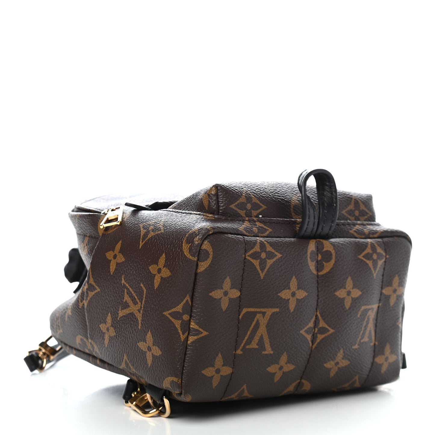 Monogram Palm Springs Backpack Mini