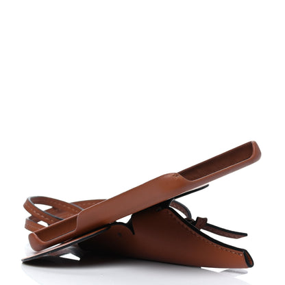 Loewe Calfskin Elephant Iphone X/XS Case Tan 3 of 6