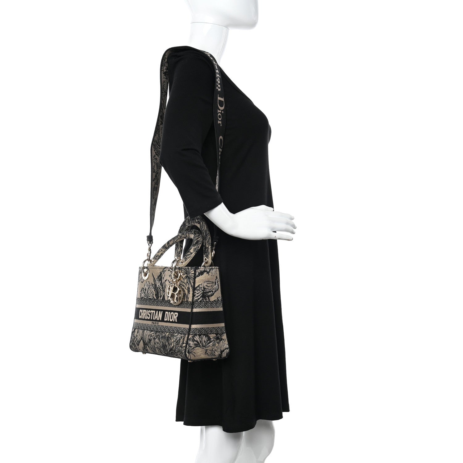 Christian Dior Toile de Jouy Voyage Embroidered Medium Lady D-Lite Beige Multicolor 2 of 15