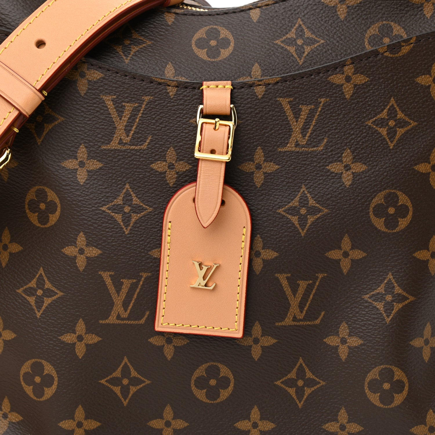 Louis Vuitton Monogram Odeon MM Natural 8 of 10