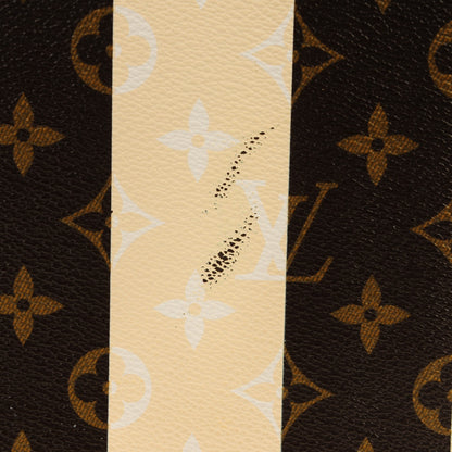 Louis Vuitton Monogram Rayures Neverfull MM 12 of 12