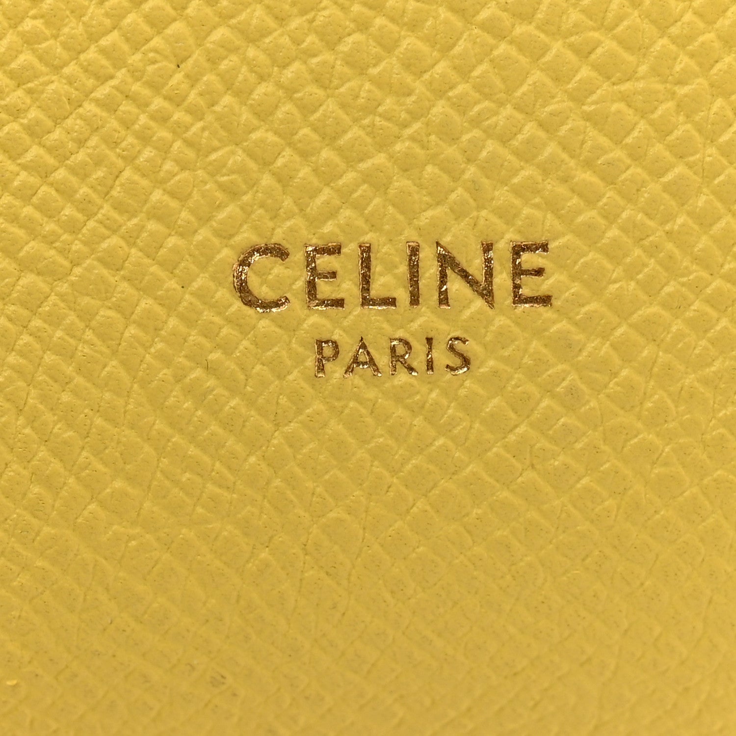 Celine Grained Calfskin Nano Belt Bag Citron 6 of 14