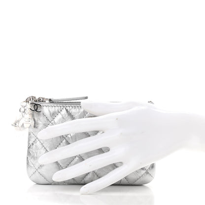 Chanel Metallic Calfskin Quilted Small Cosmo Cosmetic Case Silver 2 of 8