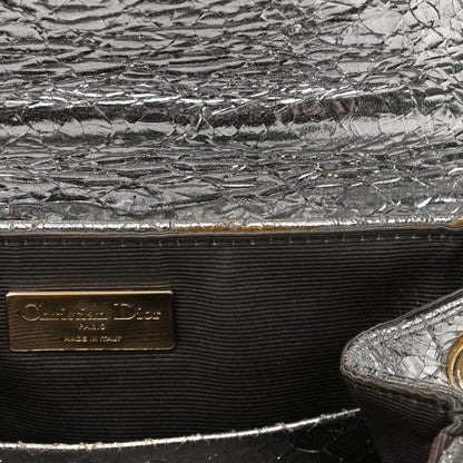 Christian Dior Metallic Calfskin Small Stardust Backpack Silver 14 of 17