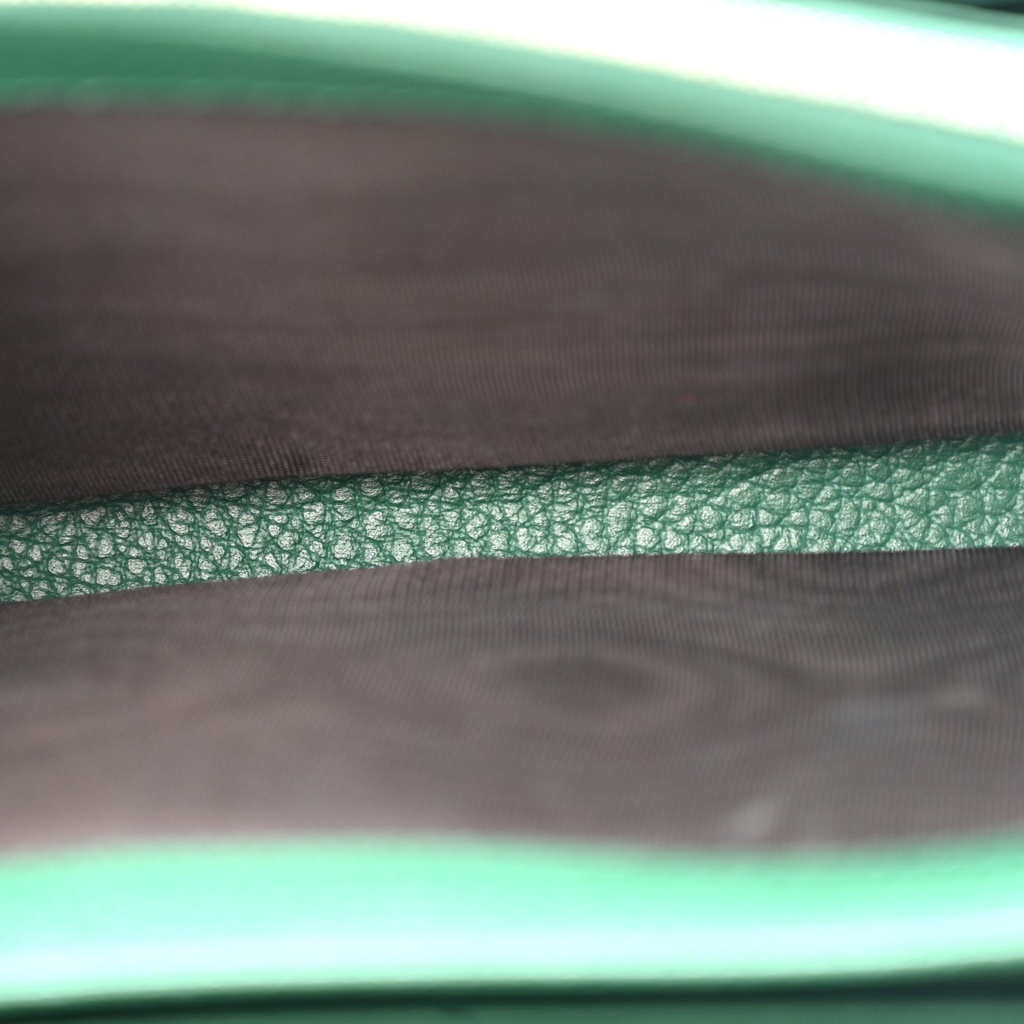 Calfskin Mini Dionysus Chain Wallet Emerald