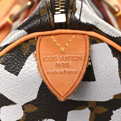 Louis Vuitton Monogram Graffiti Speedy 30 Silver 6 of 8