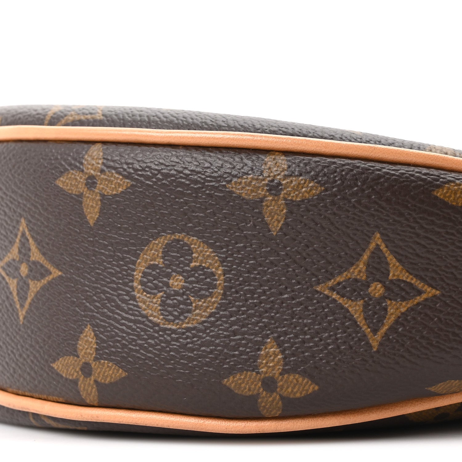 Louis Vuitton Monogram Loop 8 of 8