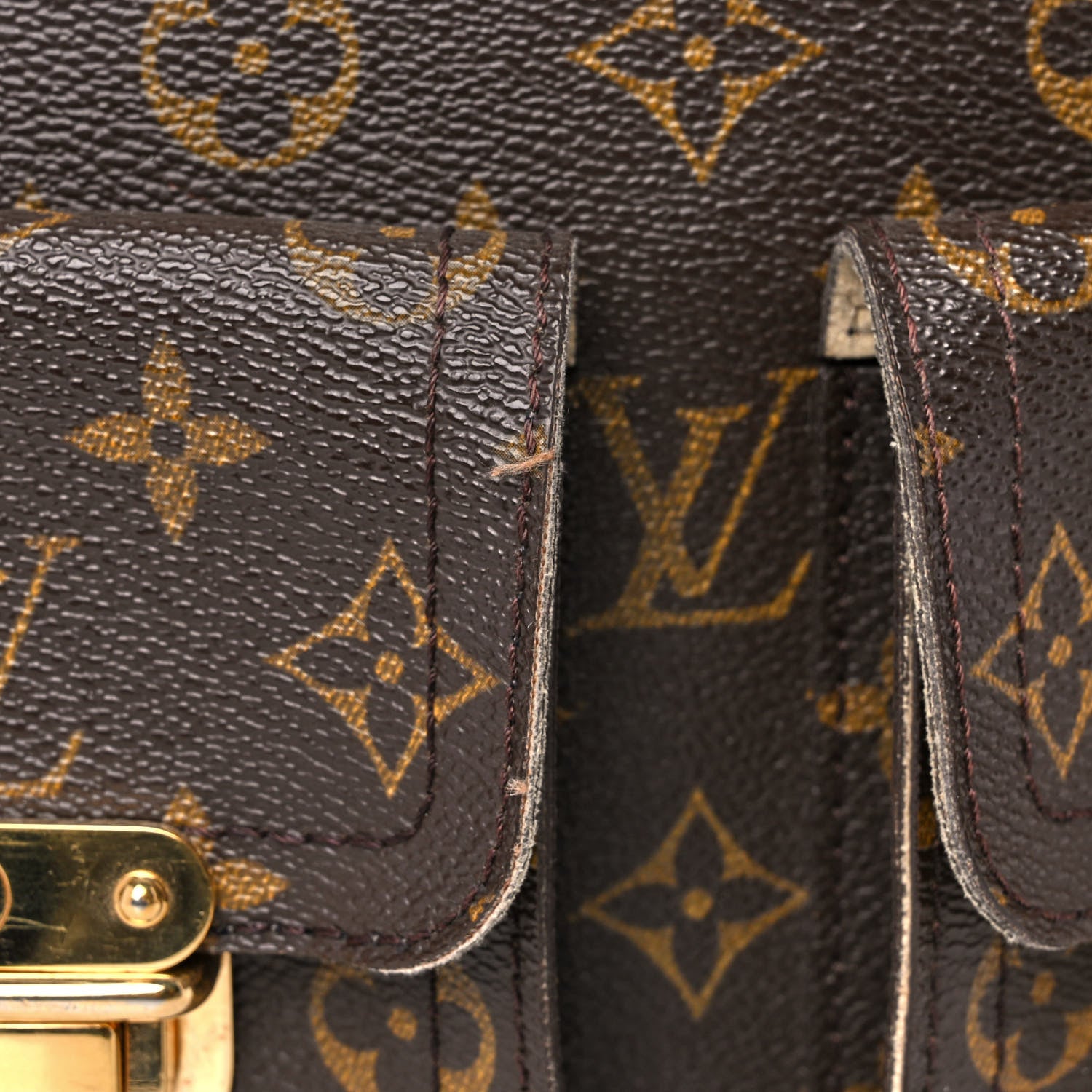 Louis Vuitton Monogram Hudson GM 17 of 18