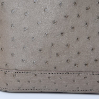 Louis Vuitton Ostrich Alma PM Gris 9 of 13