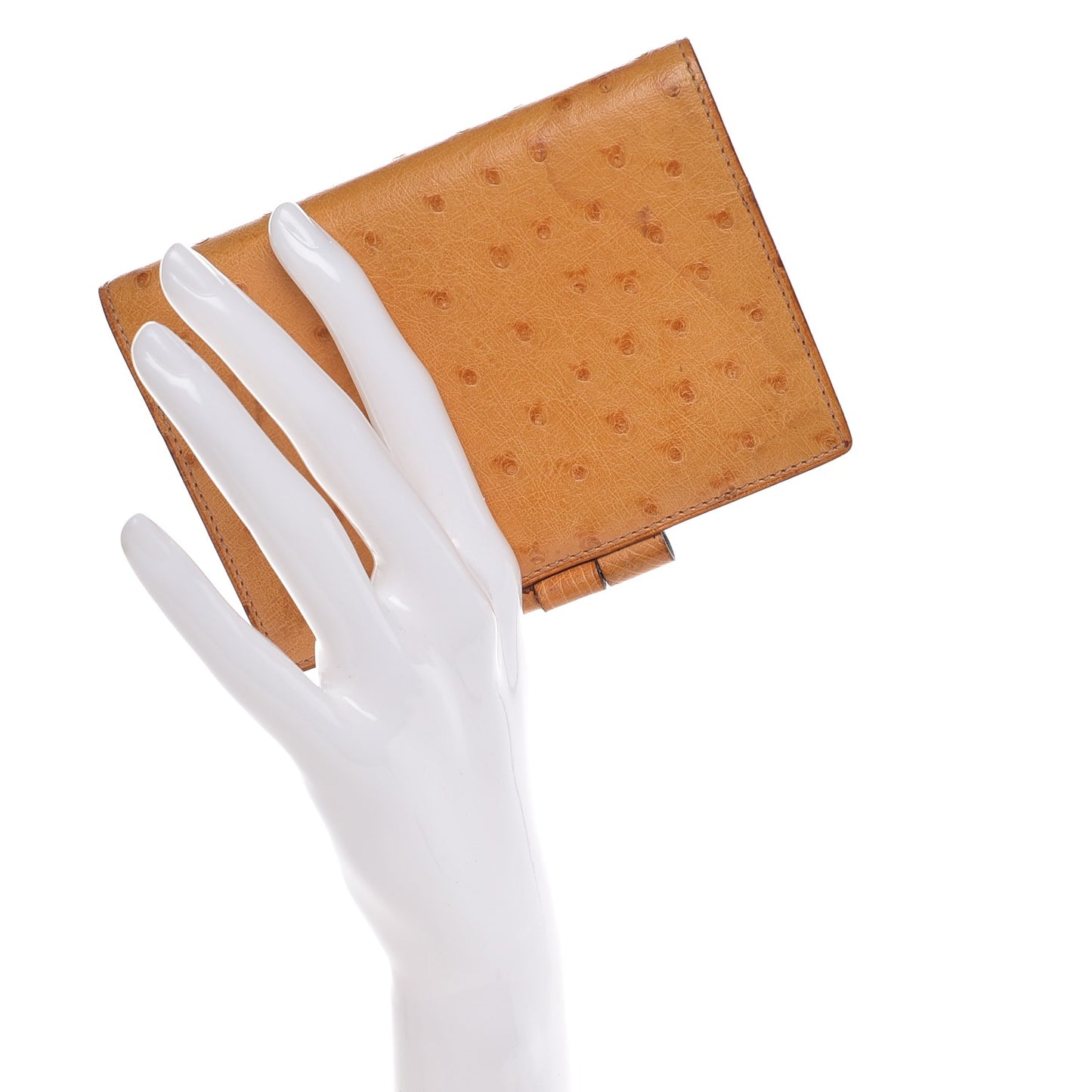 Ostrich Vision Agenda Cover PM Gold