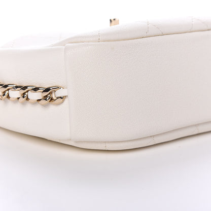 Chanel Goatskin Quilted Small Casual Trip Camera Case White 8 of 9