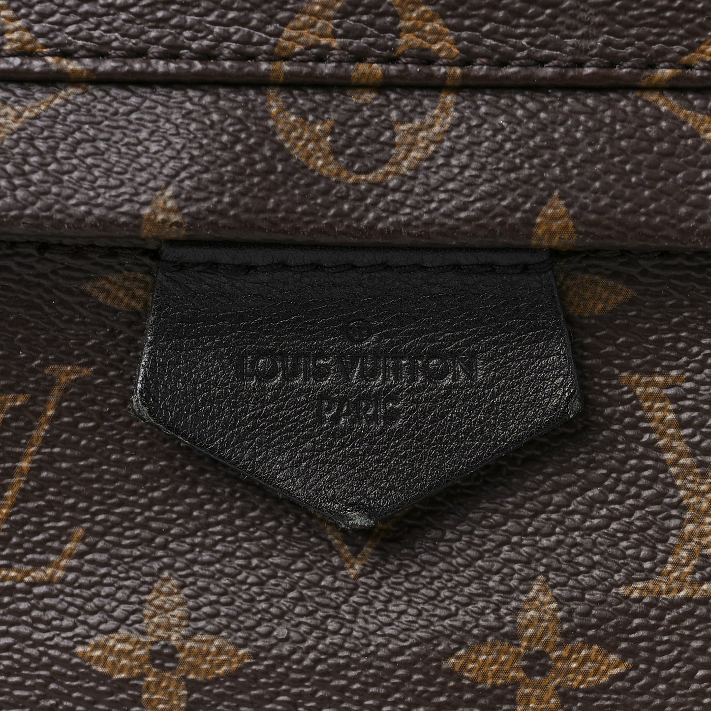 Monogram Palm Springs Backpack MM
