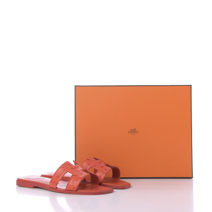 Hermes Ostrich Oran Sandals 37 Jasper Rouge 9 of 9