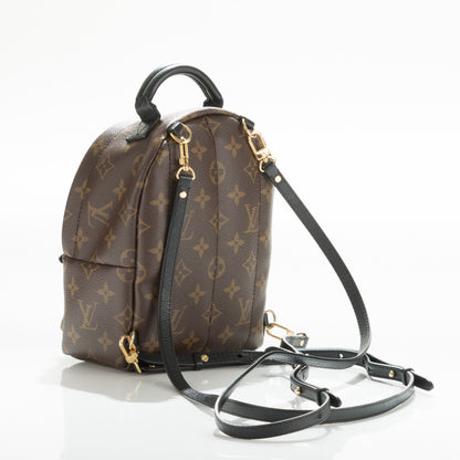 Louis Vuitton Monogram Palm Springs Backpack Mini 10 of 14