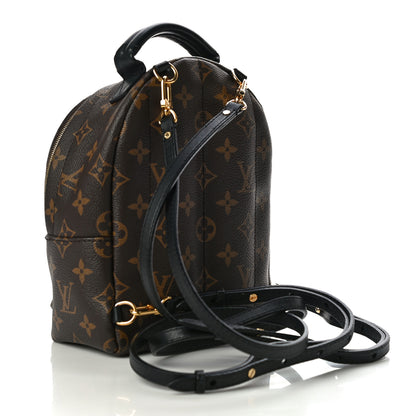 Louis Vuitton Monogram Palm Springs Backpack Mini 6 of 10