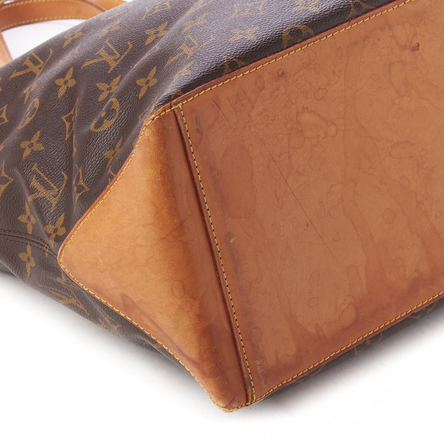Monogram Cabas Mezzo