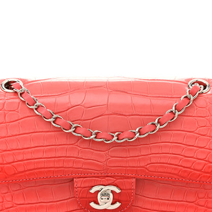 Chanel Alligator Gradient Medium Double Flap Red 8 of 13