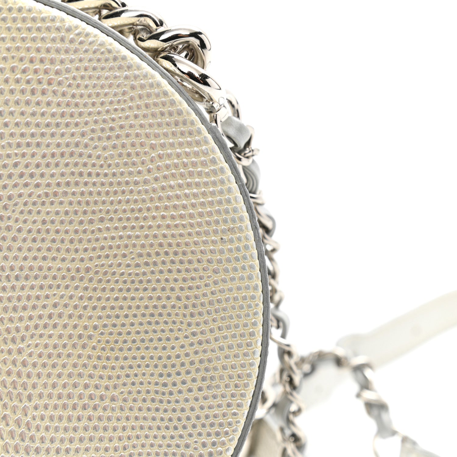 Chanel Metallic Lizard Round As Earth Evening Bag Silver 13 of 14