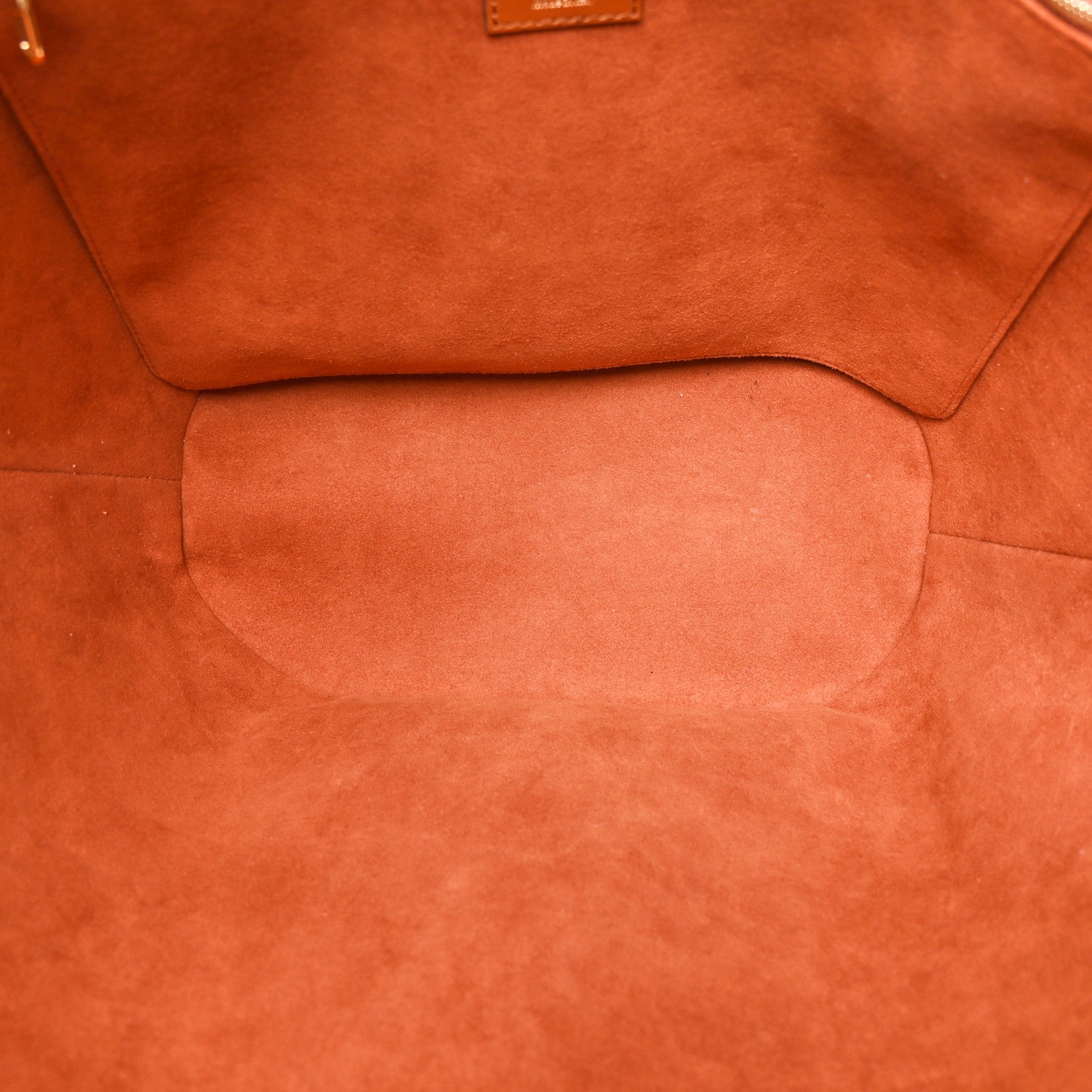 Louis Vuitton Raffia Saint Jacques Tote Caramel 5 of 11