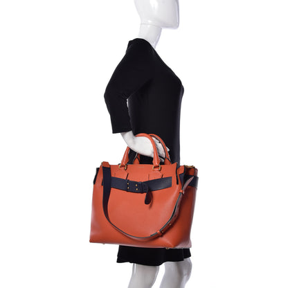 Burberry Soft Grain Calfskin Medium Belt Bag Clementine 3 of 9
