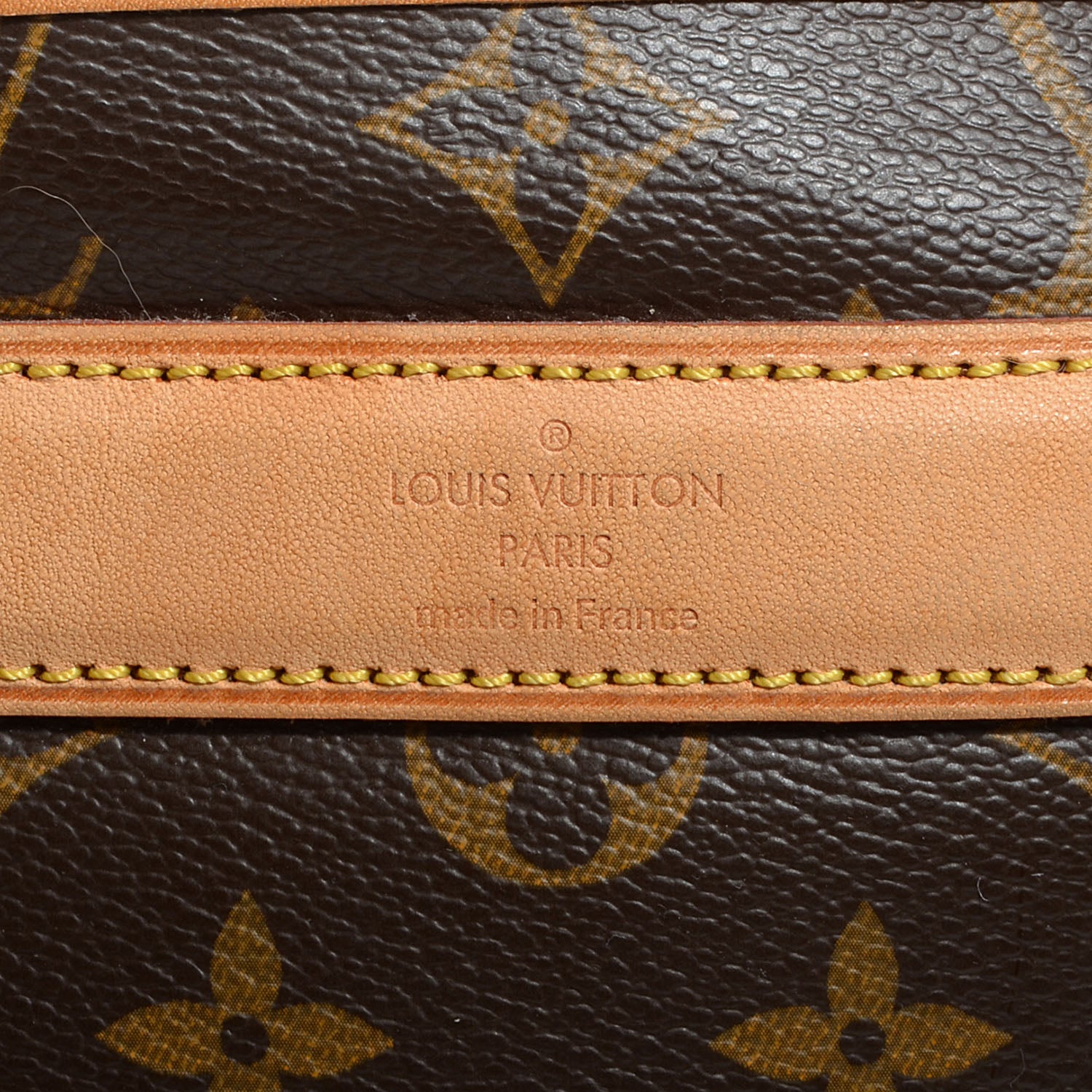 Louis Vuitton Monogram Sac Chien 50 Pet Carrier 3 of 7
