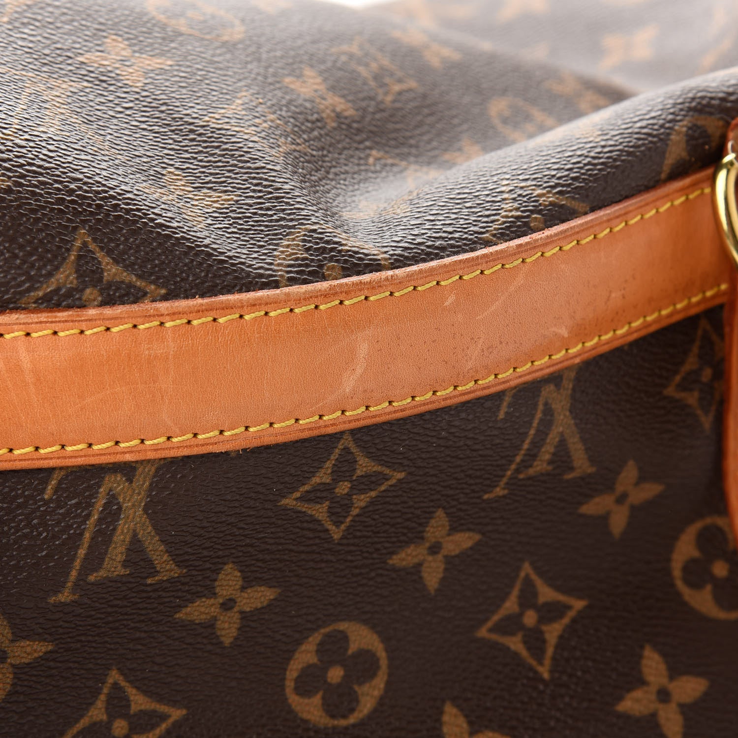 Louis Vuitton Monogram Sac Chien 50 Pet Carrier 10 of 14