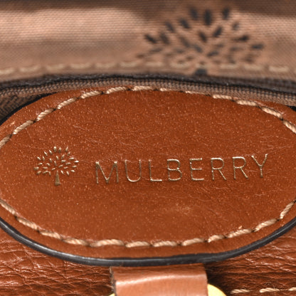 Mulberry Soft Buffalo Mini Alexa Oak 6 of 9