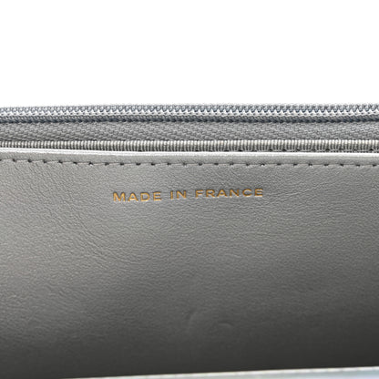 Chanel Iridescent Goatskin Quilted Wallet On Chain WOC Silver 8 of 12