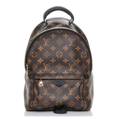 Louis Vuitton Monogram Palm Springs Backpack PM 1 of 6