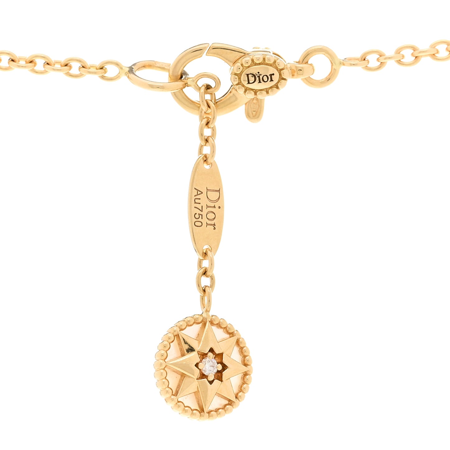 18K Yellow Gold Diamond Mother of Pearl Rose Des Vents Long Necklace
