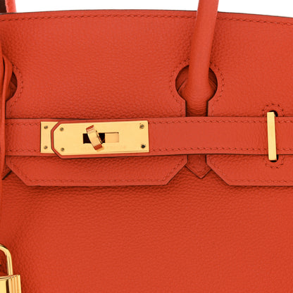 Hermes Togo Birkin 30 Feu 11 of 11