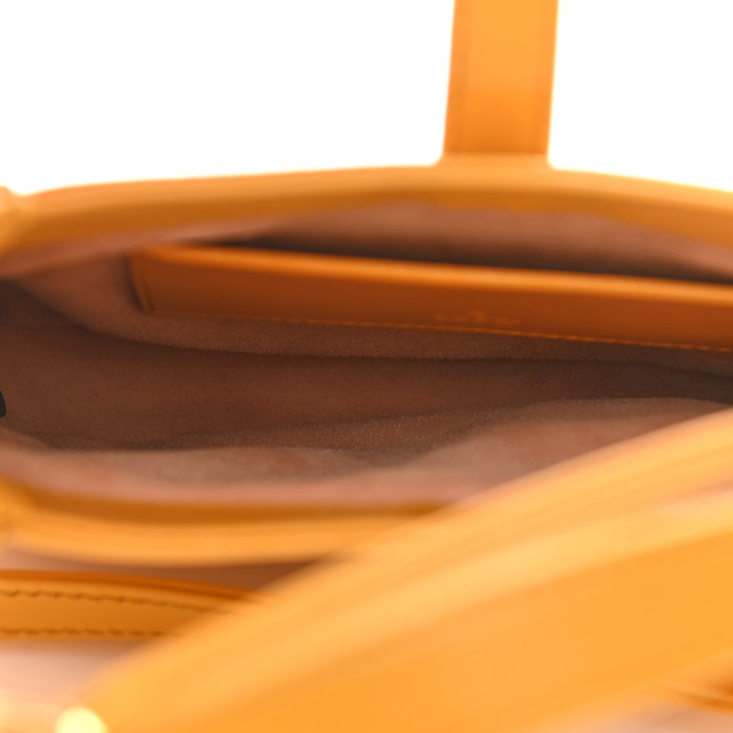 Boarded Dyana Lux Calfskin Mini Jackie 1961 Hobo Crop