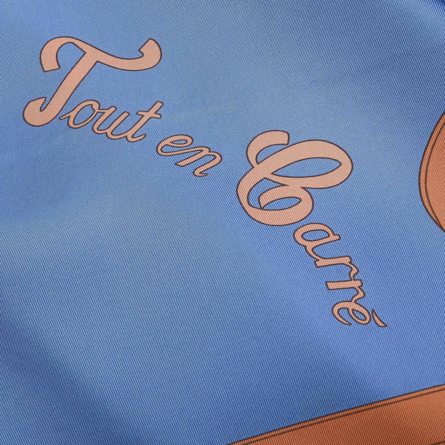 Hermes Silk Tout En Carre Scarf 90 4 of 6