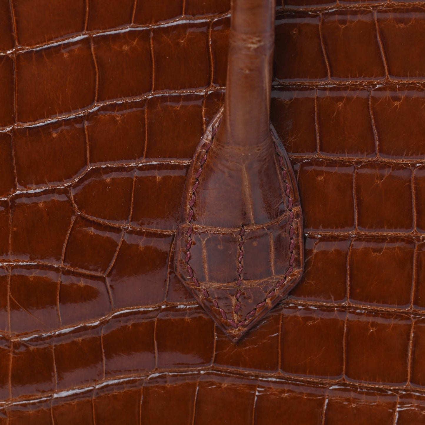 Shiny Porosus Crocodile Birkin 35 Etrusque