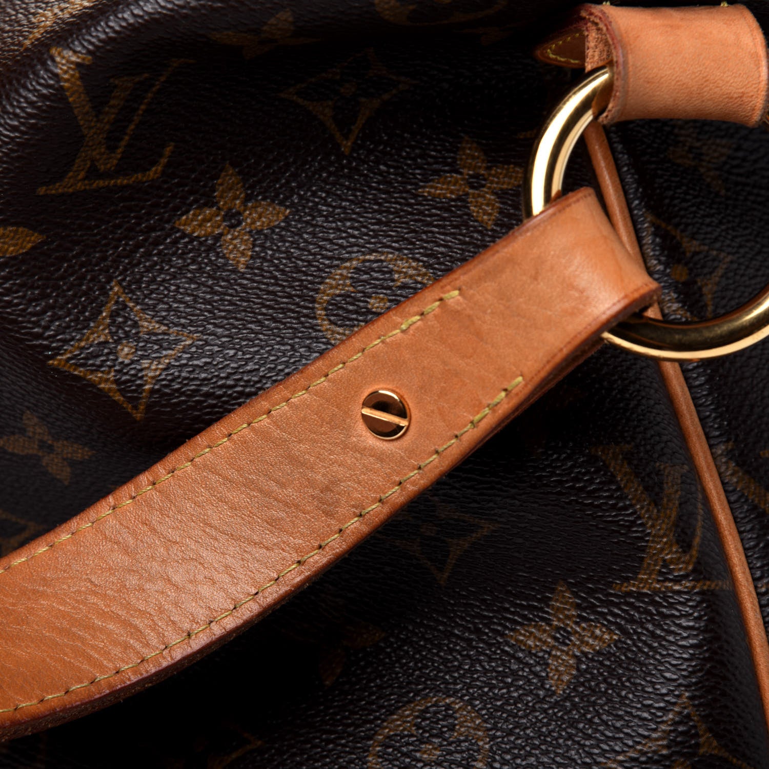 Louis Vuitton Monogram Delightful MM 20 of 21