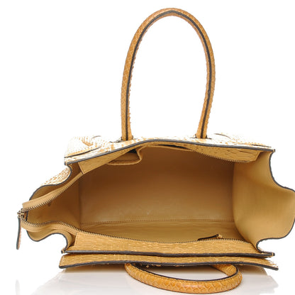Celine Python Mini Luggage Beige 5 of 9