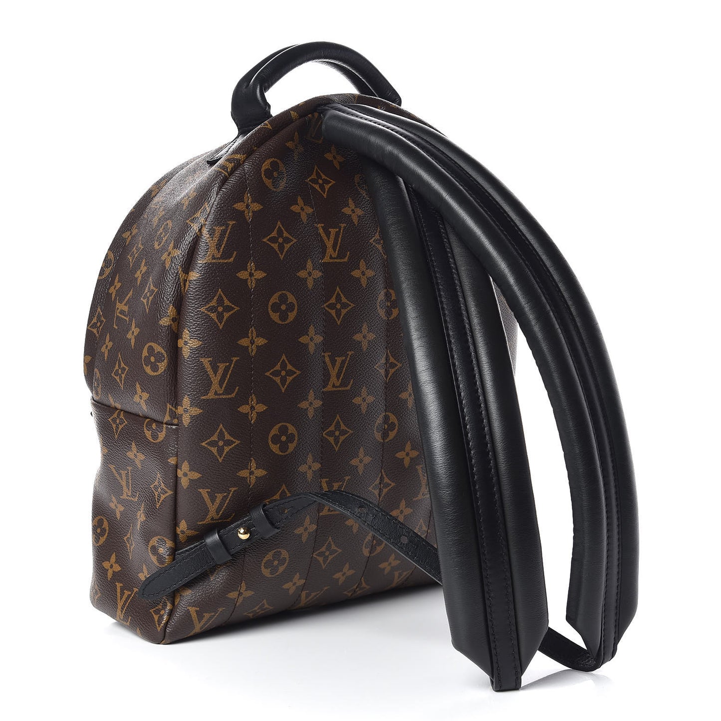 Monogram Palm Springs Backpack MM