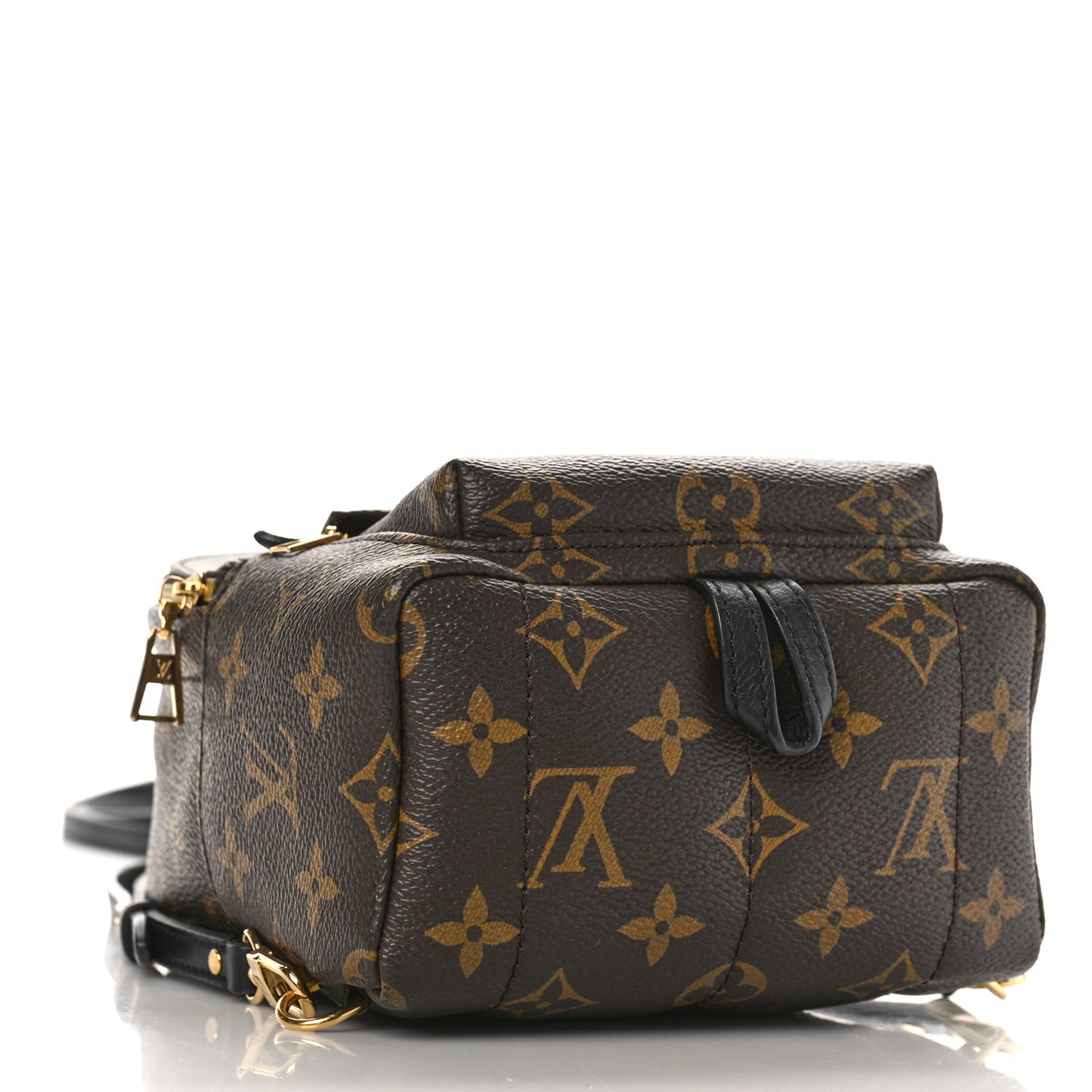 Monogram Palm Springs Backpack Mini