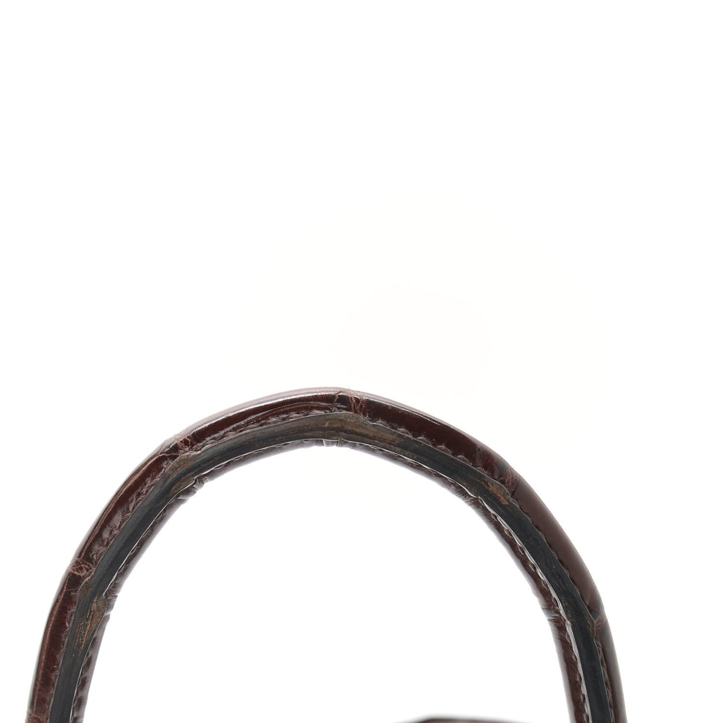 Shiny Niloticus Crocodile Birkin 25 Miel