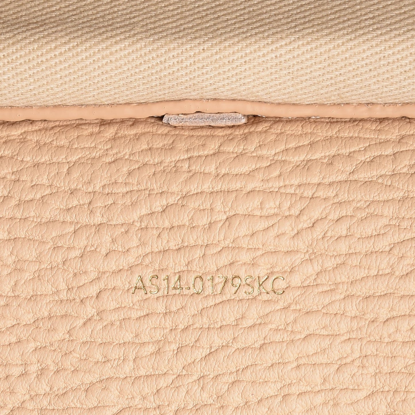 3.1 Textured Calfskin Medium Pashli Satchel Buff