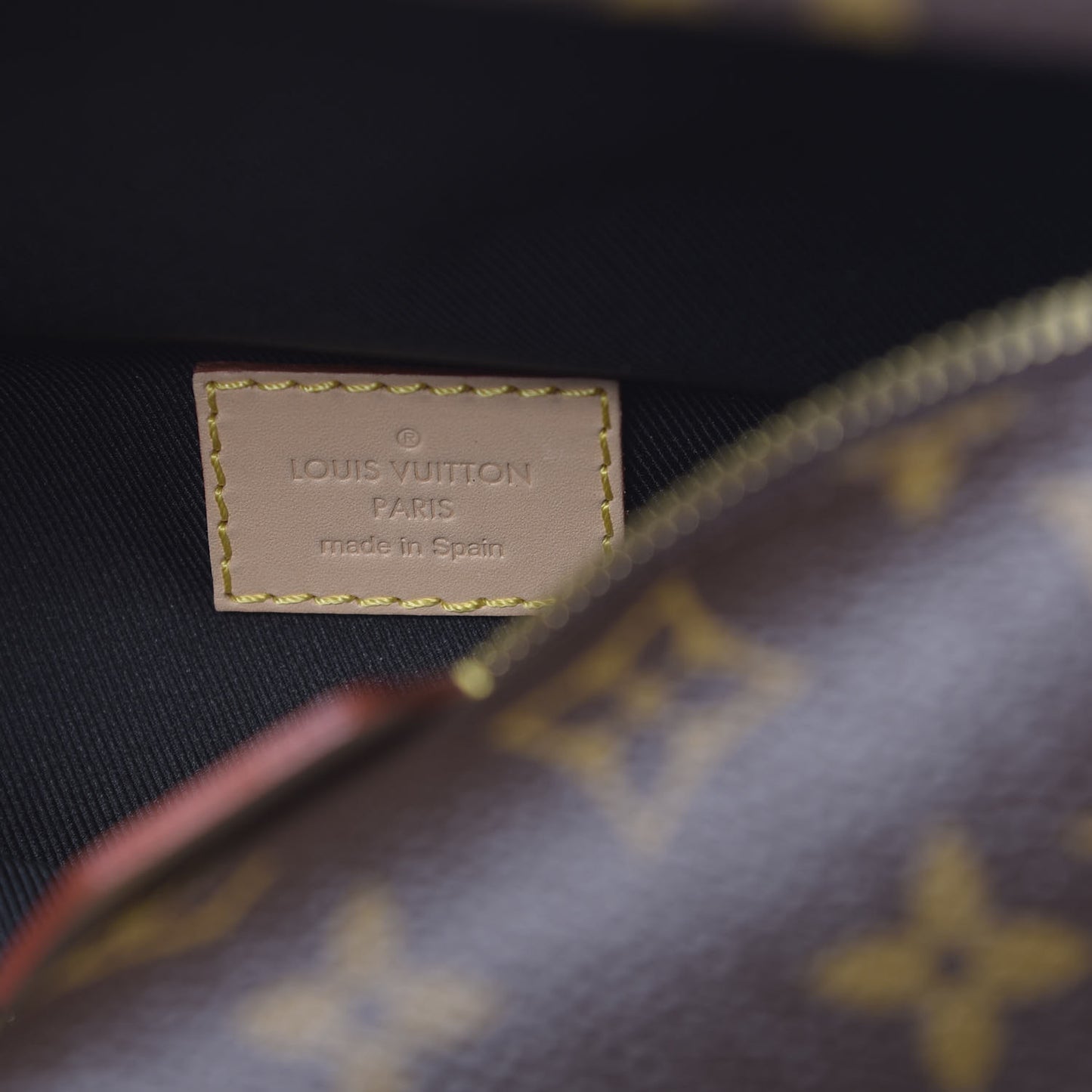 Monogram Bumbag