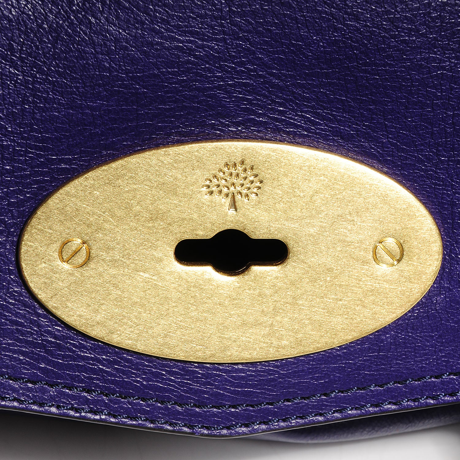 Mulberry Soft Buffalo Leather Medium Alexa Grape 11 of 13