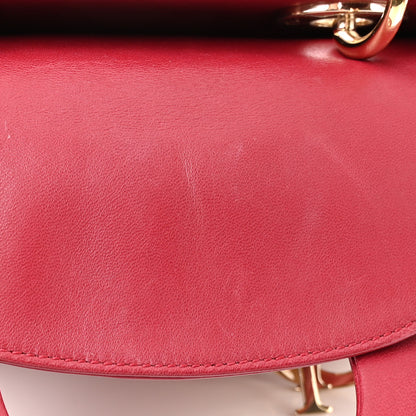 Christian Dior Lambskin Cannage Small Lucky Badges My Lady Dior Red 14 of 14