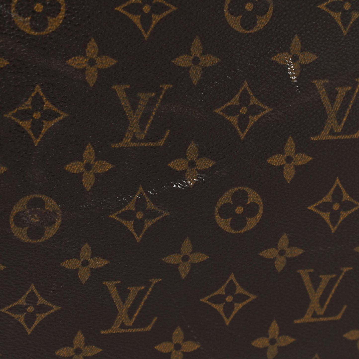 Monogram Garment Bag